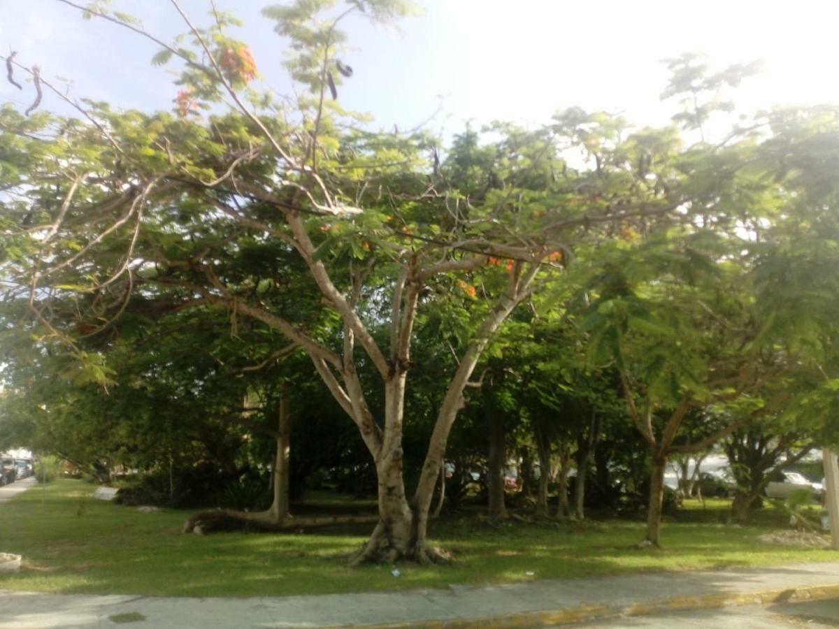 Cielito Lindo Acomodação com café da manhã Cancún Exterior foto